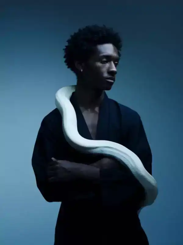 Loading the media file...