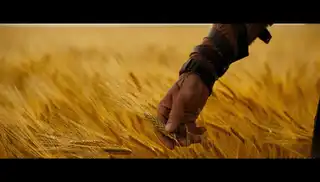 Loading the media file...