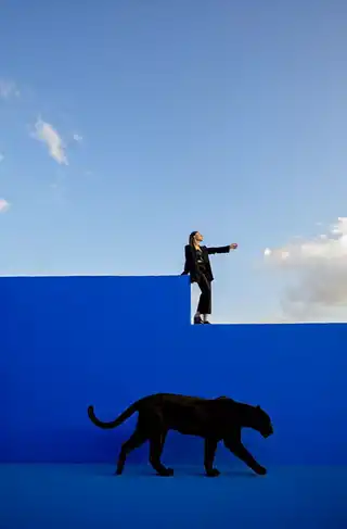 Loading the media file...