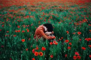 Loading the media file...